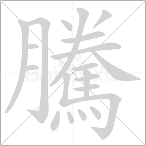 騰的意思|騰 的字義、部首、筆畫、相關詞